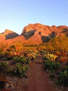 MHI Annual Conference Guided Wellness Hike