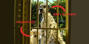 Dogs as Generations