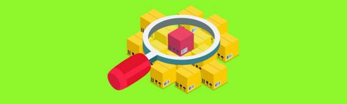 Supply Chain Transparency