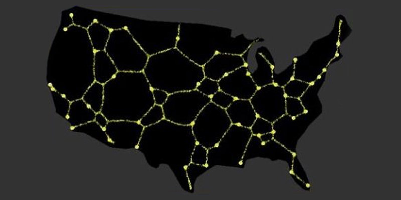 Slime Logistics Slime Mold and Logistics: Partners in Efficiency - MHI Blog