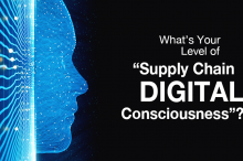 Digital Consciousness
