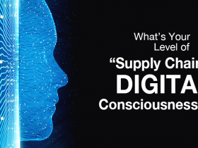 Digital Consciousness