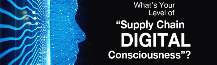 Digital Consciousness