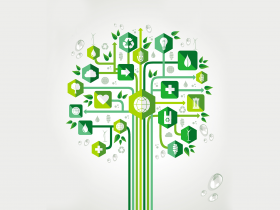 supply chain sustainability