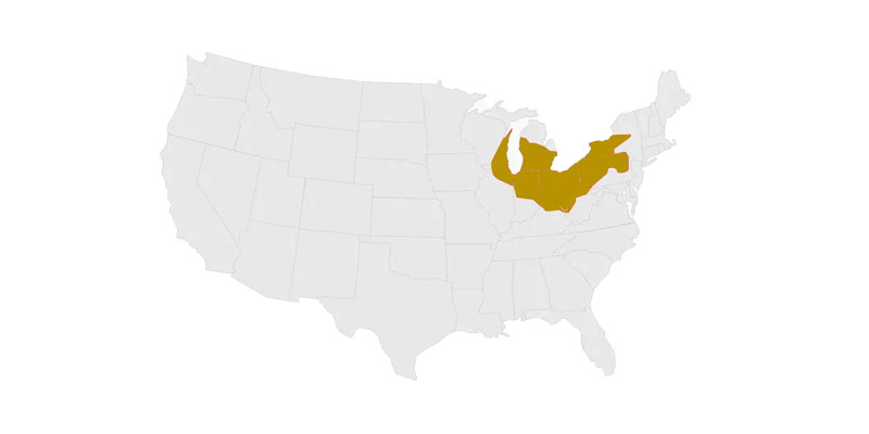 Industrial Manufacturing Adds Luster to the Rust Belt - MHI Blog
