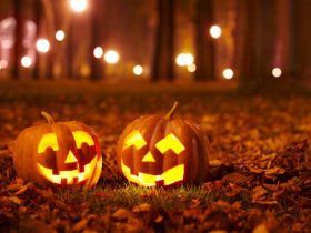 Supply Chain Demand During Halloween